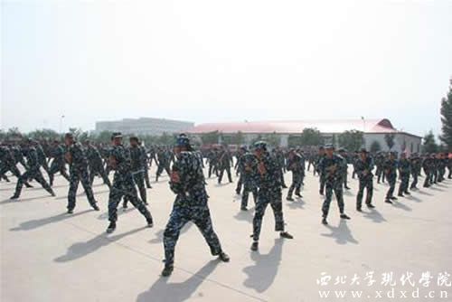 圖片50.jpg