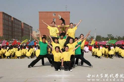 圖片10.jpg