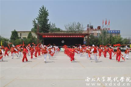 圖片19.jpg
