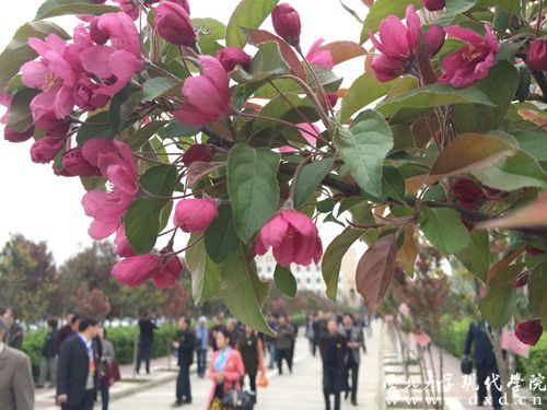 QQ圖片20140405105206.jpg