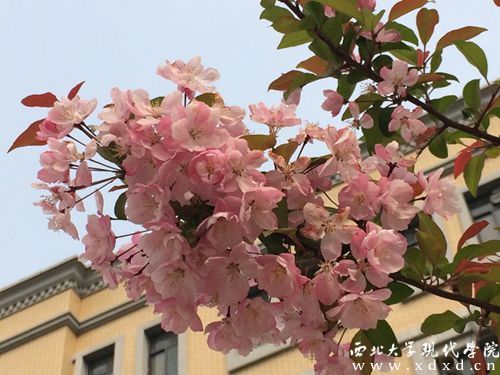 QQ圖片20140405105150.jpg