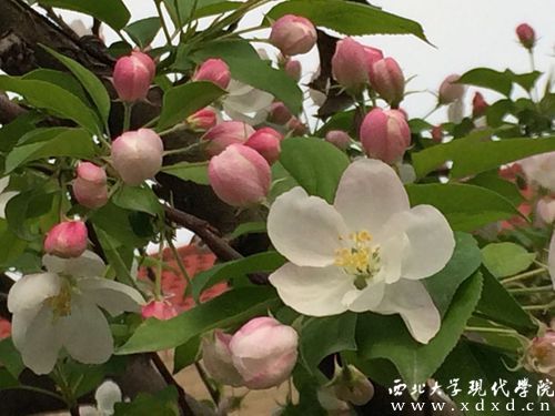 QQ圖片20140405105158.jpg