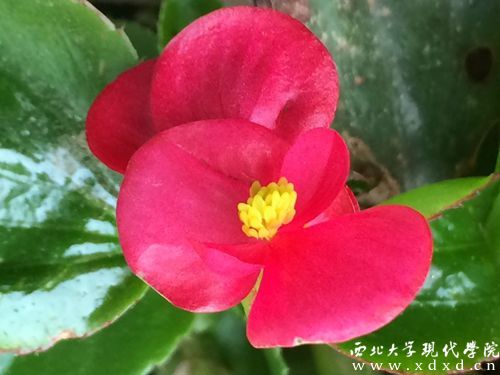 QQ圖片20140405105203.jpg